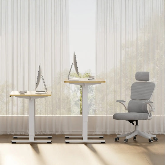 Electric Standing Desk Whole Piece Adjustable Height Desk Home Office Computer Workstation Sit Stand Up Desk