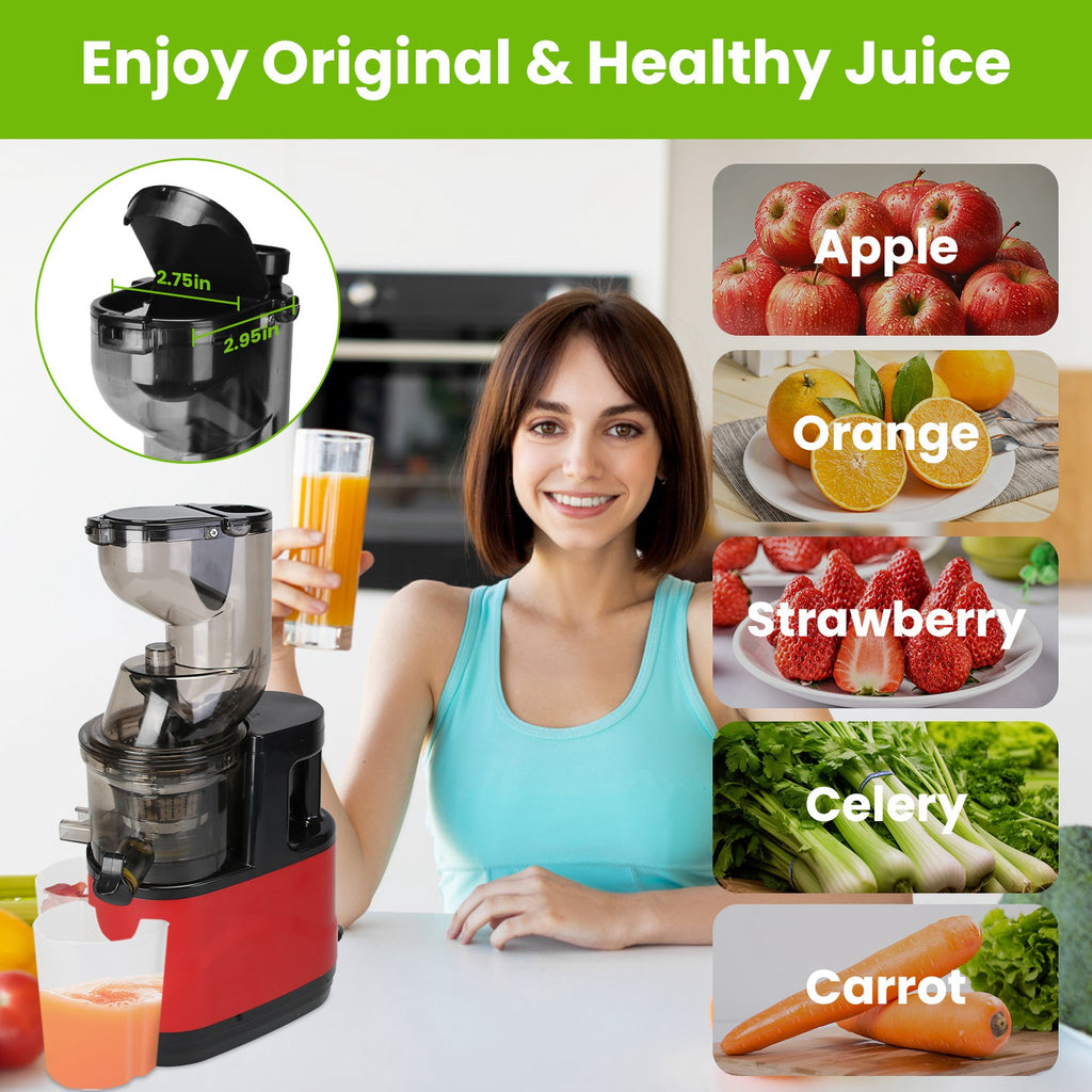 1Pc Cold Press Juicer Machine 300W Electric Slow Masticating Juicer For Whole Vegetable And Fruit With Reverse Function 2 Containers Cleaning Brush Clear Marks Easy Cleaning