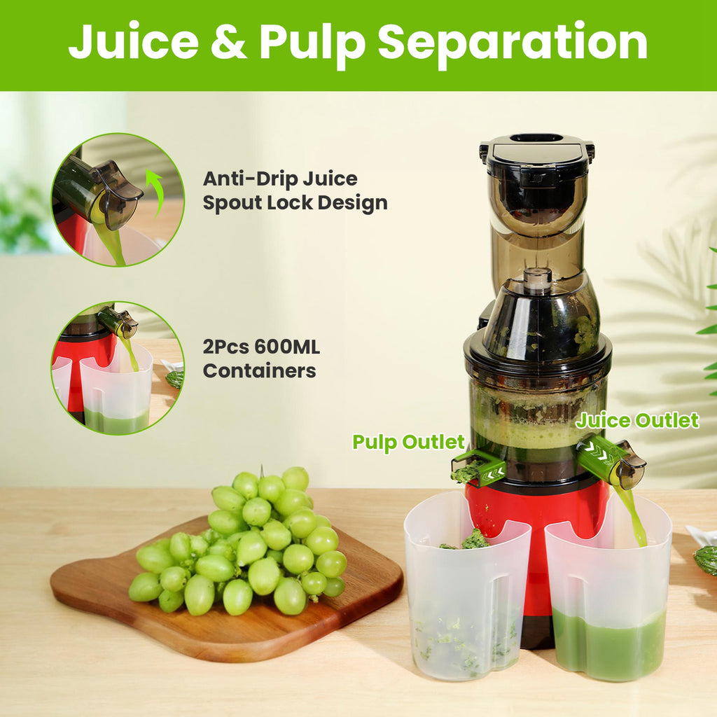 1Pc Cold Press Juicer Machine 300W Electric Slow Masticating Juicer For Whole Vegetable And Fruit With Reverse Function 2 Containers Cleaning Brush Clear Marks Easy Cleaning