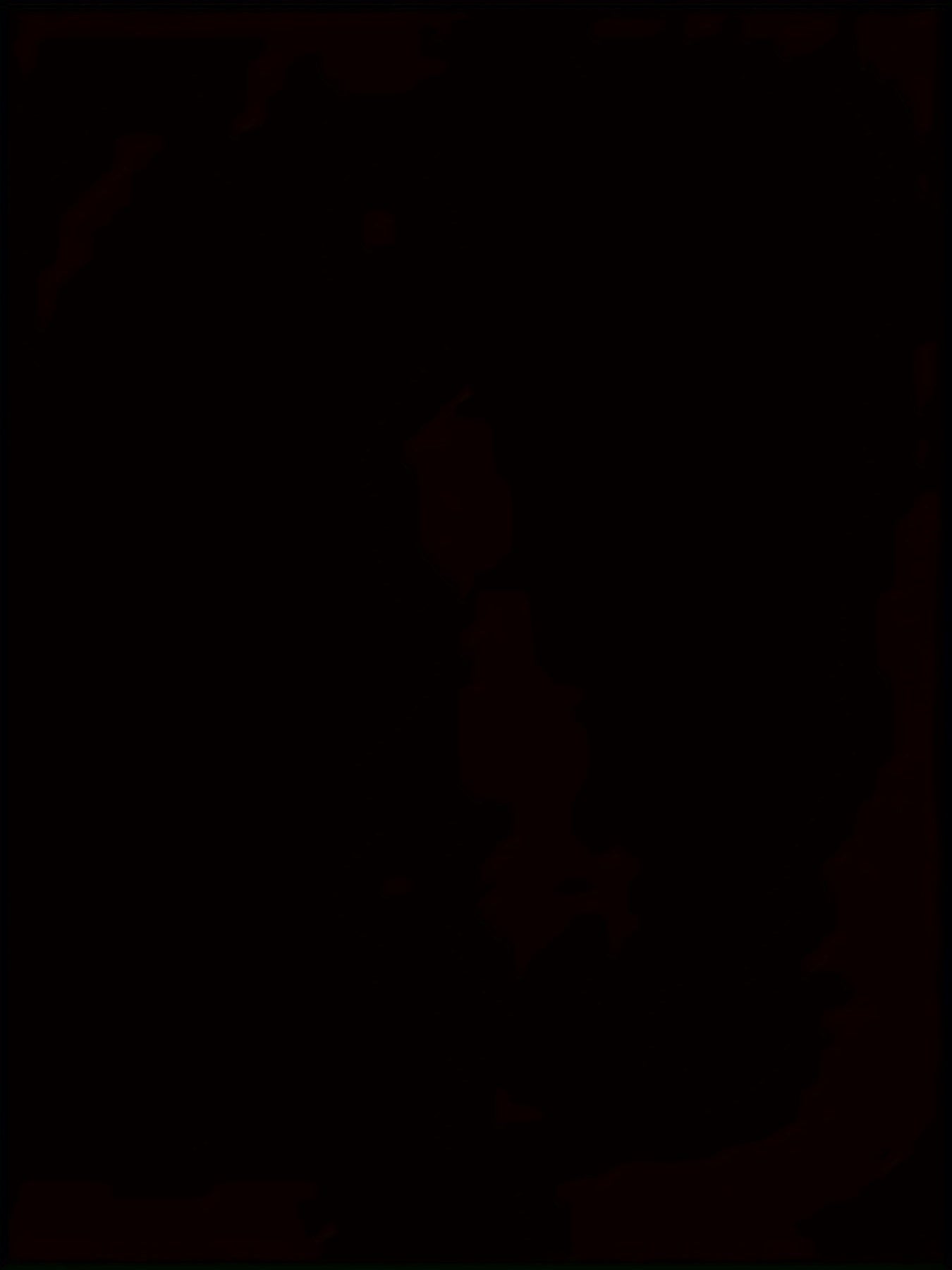 3D Digital Cool Wolf Contrast Color Eye Pattern Round Neck T-shirt